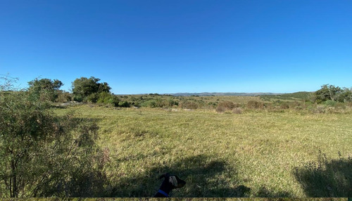 Imagen 26 de 30 de Se Vende Campo De 77 Has En Maldonado. A Pocos Km De Aiguá En Zona De Ruta 39. Ubicación Privilegiada!