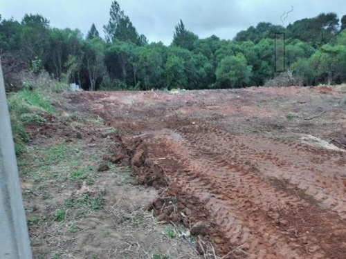 Imagem 5 de 8 de Cod -5650 - Terreno Em Ibiúna Com Poço E Energia - 5650