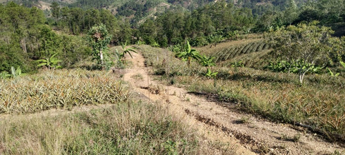 Imagen 2 de 18 de 6 Manzanas En El Zapote San Pedro Pinula Jalapa