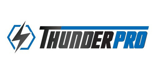 Imagen 3 de 4 de Disco Flap 115mm G60 Oxido Al -caja X20u Thunderpro Tr010652