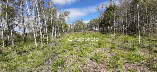 Chácara À Venda, 2.000 M² Por R$ 210.000 - Chácaras Olhos D´água - Campina Grande Do Sul/pr - Ch0060