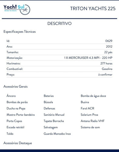 Imagem 9 de 10 de Lancha Triton 225 - Ñ E Fs/focker/nx - (semi-nova)
