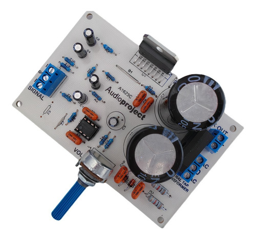 Imagen 1 de 9 de Modulo Amplificador Subwoofer 100 Watts - Audioproject