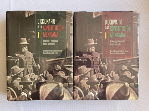 Diccionario De Constitucion Mexicana Jerarquía Y Vinculación