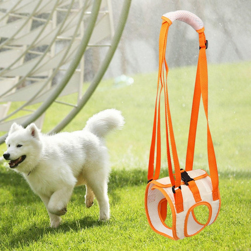 . Perros Espalda Patas Traseras Arnés De Soporte For Patas