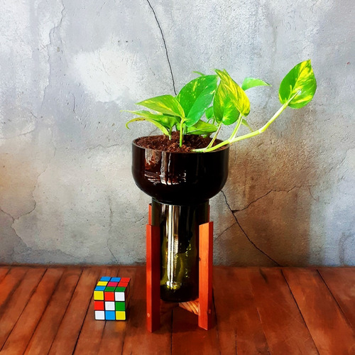 Imagen 2 de 8 de Scindapsus Little Plant 27 Con Soporte, Maceta Autorregante