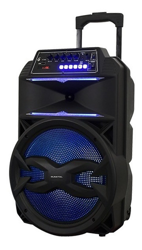 Parlante Activo Punktal 12'' Batería Usb Bluetooth Karaoke 