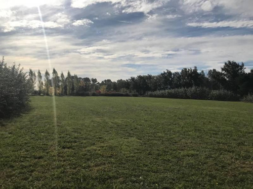 Imagen 10 de 10 de Pintoresca Chacra En Venta En Loma Escondida - Open Door - Mallmann Propiedades