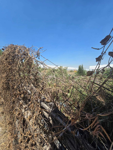 Terreno En Venta Av. José López Portillo