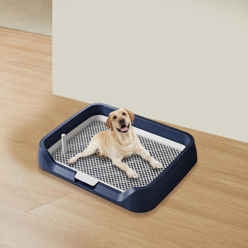 Orinal Para Perros De Interior, Almohadillas De Tren, Azul