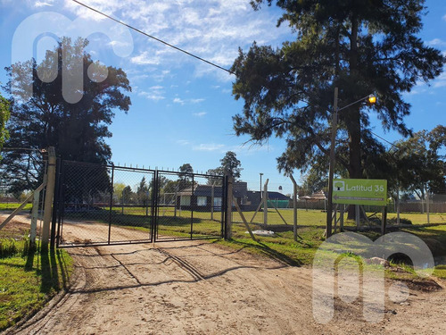 Imagen 1 de 5 de Terreno - Lisandro Olmos Etcheverry