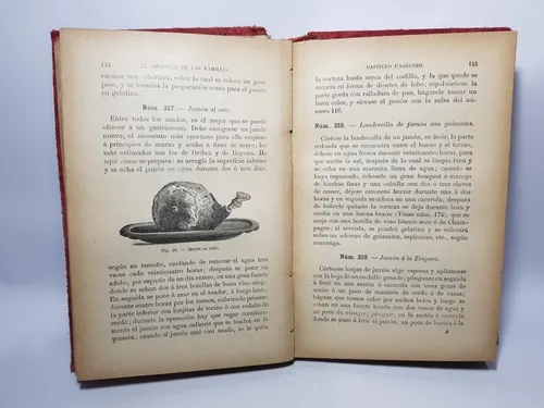 Antiguo Libro El Cocinero De Las Familias M Durand Mag 56460 (Usado)