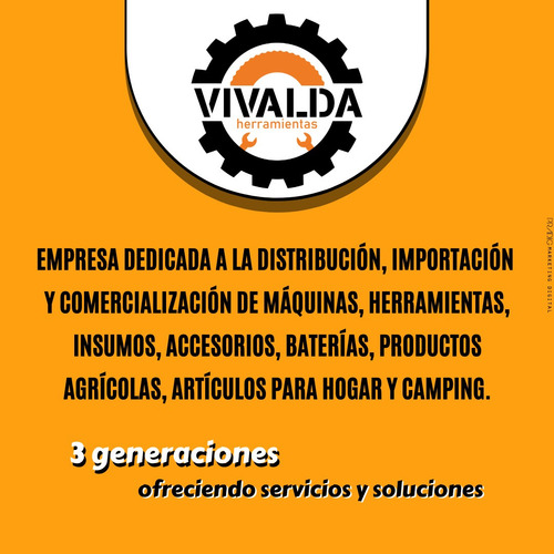 Generador Electrico Lusqtoff 3500w Grupo Electrógeno 220v
