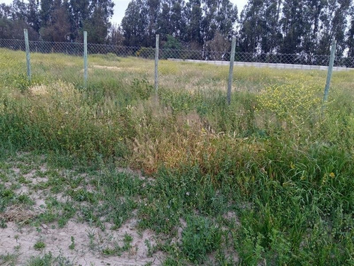 Imagen 17 de 23 de Sitio En Venta En Isla De Maipo