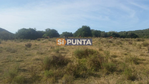 Imagen 8 de 13 de Chacras En Ruta 39 Próximas A Aigua.