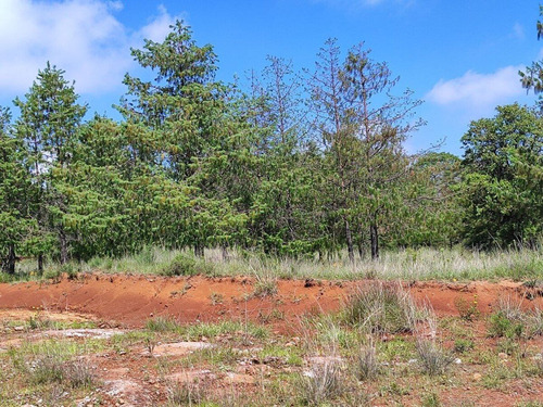 Terreno En Venta En Amealco