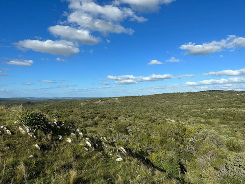 Imagen 9 de 16 de Campo En Venta (ref: Bpv-9121)