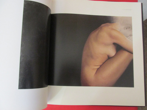 Imponente Libro Pintor Chileno Ricardo Maffei 2010 Mu Escaso (Usado)