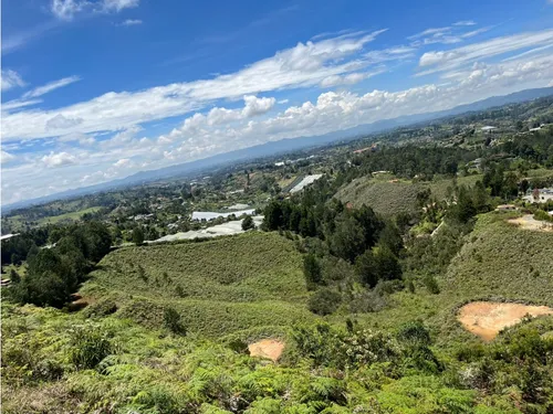 Rhbr-14483 (lote) (guarne)
