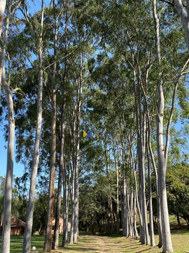 Imagem 6 de 30 de Chácara Com 3 Dormitórios À Venda, 36000 M² Por R$ 3.000.000 - Chácara Ipês - Caçapava/sp - Ch0004