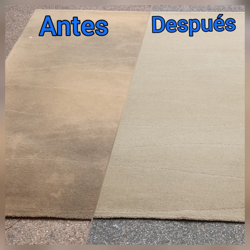 Imagen 5 de 9 de Lavado De Alfombras Y Muebles A Domicilio