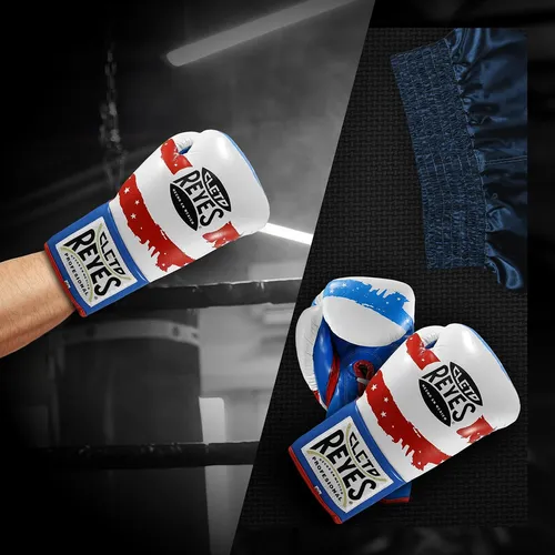 Guantes De Boxeo Profesionales