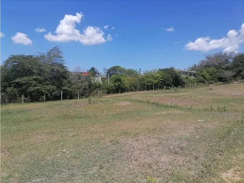 Vendo Lote En Carmen De Apicala