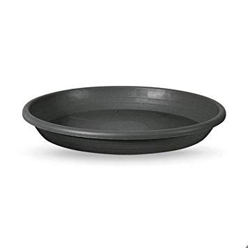 Plato Para Matera De Colores #36