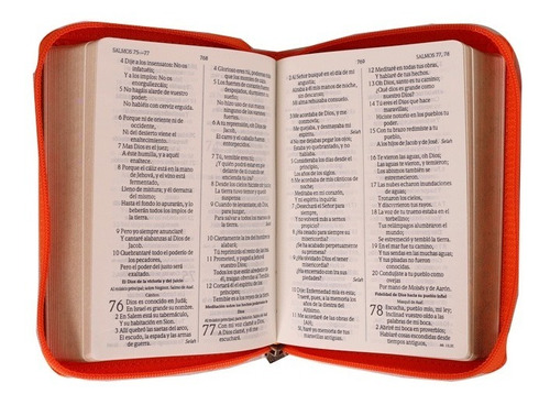 Biblia Bolsillo Con Cierre Rvr1960 Imitación Piel Naranja