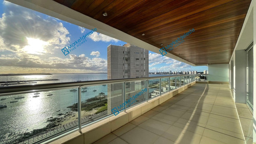 Imagen 2 de 28 de Puerto Punta - Piso Alto