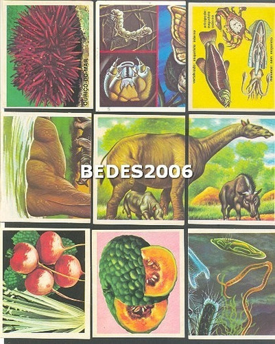 Figurinhas Do Álbum Ciências Editora Vecchi 1975 - Lote 5