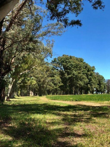 Imagen 4 de 8 de Oportunidad! Lote En Barrio Tres Pinos
