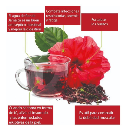 Hierbas Medicinales Hibisco Flor De Jamaica Hibiscus | MercadoLibre