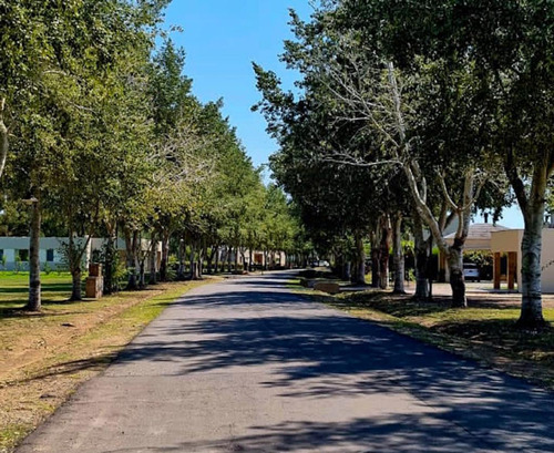 Lote En Venta La Plata Haras Ii 1000m2