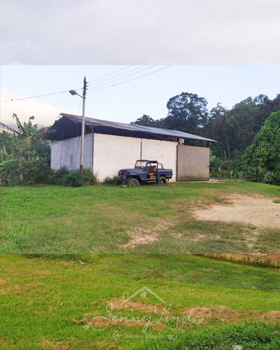 Imagen 5 de 14 de Se Vende Finca De 6,6 Has En Bejuma Carabobo