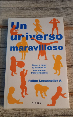 Un Universo Maravilloso, Felipe Lecannelier