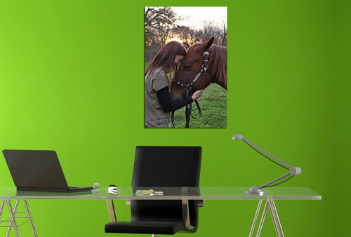 Vinilo Decorativo 30x45cm Caballo Campo Horse Vinil M9