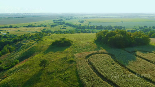 Campo En Arrendamiento - Cerro Largo