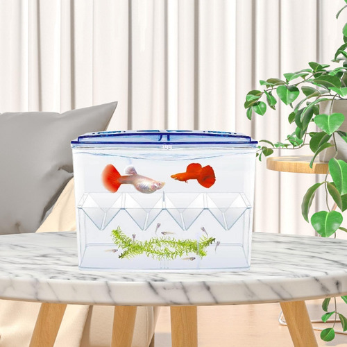 Caja De Reproducción De Pesca Incubators Fácil