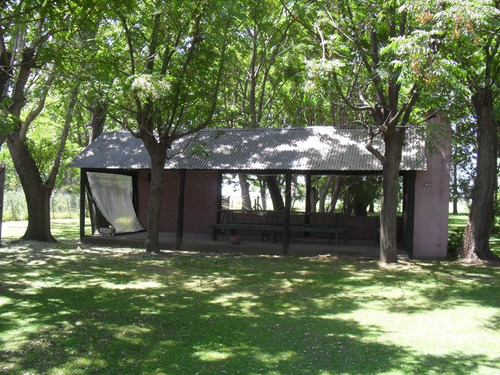 Imagen 21 de 24 de Vendo Casa De Campo. 3 Has. Oportunidad!! En Brandsen A 90 Km. De Caba. Escritura Al Día. Planos De Las Construcciones. Dueño Directo