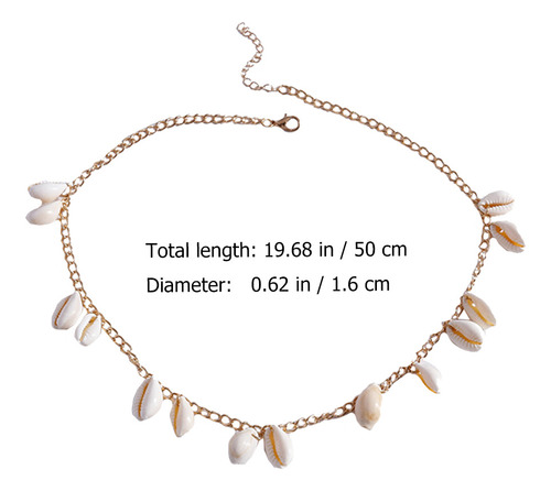 Collar Cowrie Collar Beach Shell The Summer