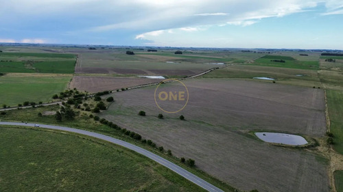 Venta De Campo De 150 Hectáreas En Curva Matonte Florida