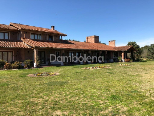 Imagen 21 de 30 de Terreno Campo En Venta En Carmen De Areco, Resto De La Provincia, Buenos Aires