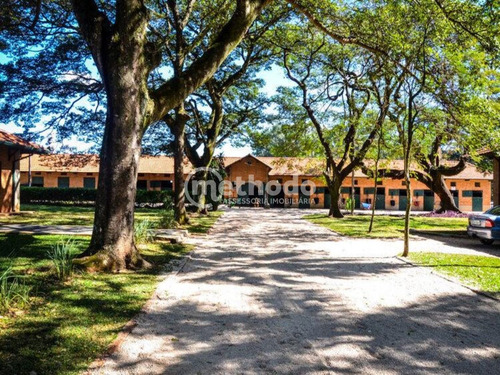 Terreno À Venda Haras Patente Jaguariúna Sp - Te00146 - 68211321