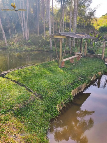 Imagem 5 de 15 de Chácara No Cocuera- Mogi Bertioga ¿ Sp - Chácara A Venda No Bairro Cocuera - Mogi Das Cruzes, Sp - 461