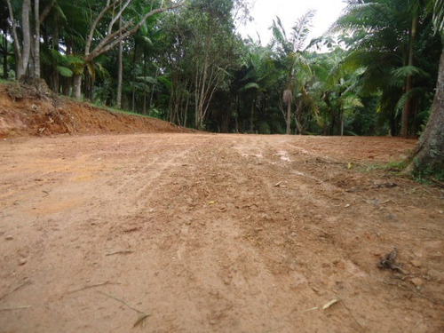 Imagem 1 de 3 de Lindo Terreno Para Morar Ref 968