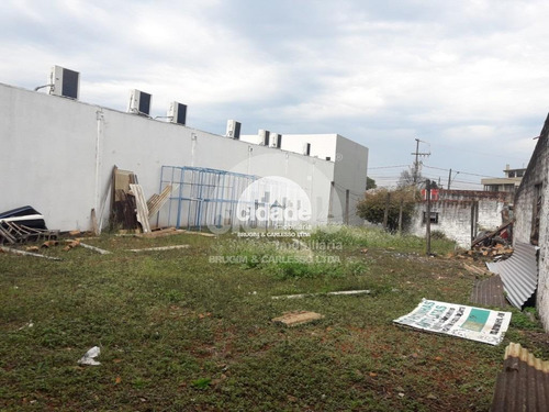 Imagem 6 de 8 de Terreno À Venda, Parque São Paulo - Cascavel/pr - 11835