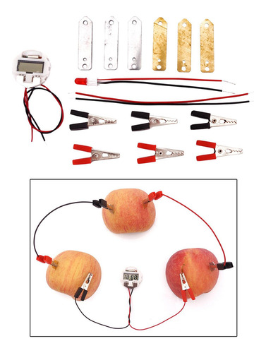 4 Kit De Experimentos Científicos Con Batería De Frutas,