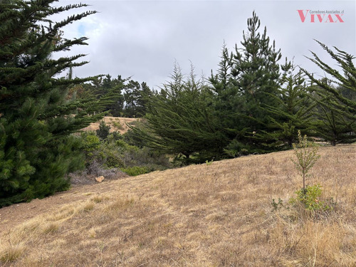 Sitio 647m2 En Cerro, En Venta En Pichilemu Punta De Lobos