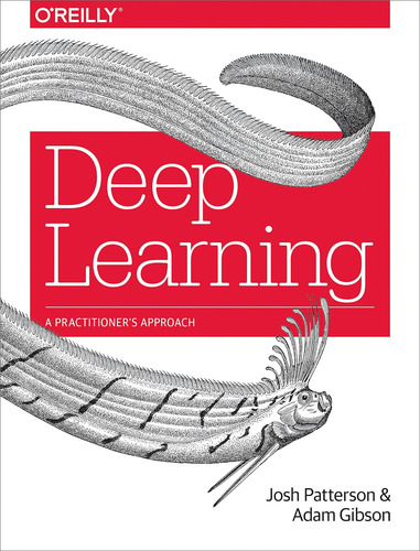 Libro: Deep Learning: A Practitioners